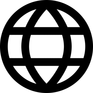icon website