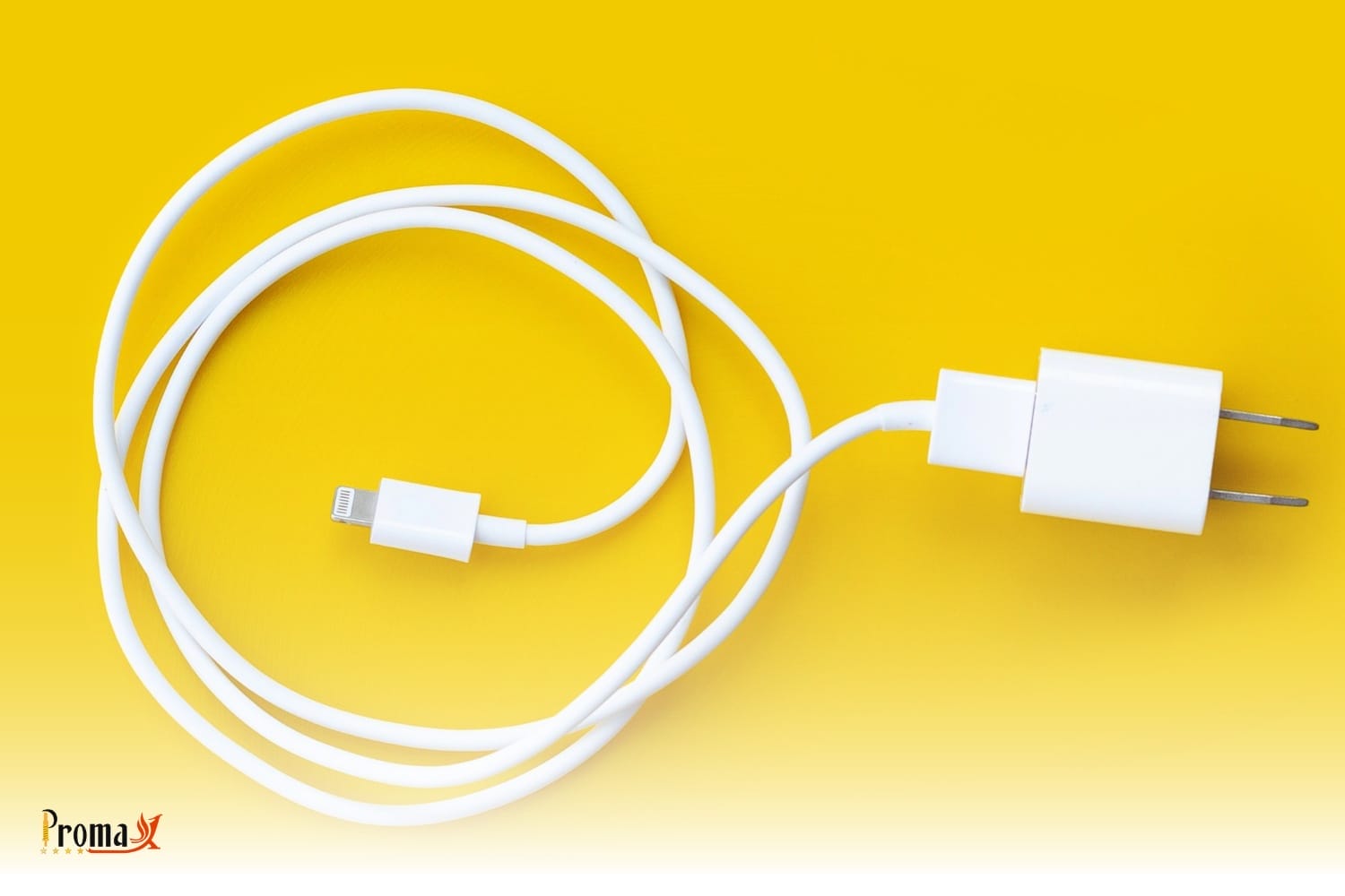 what are the main components of an iphone charger